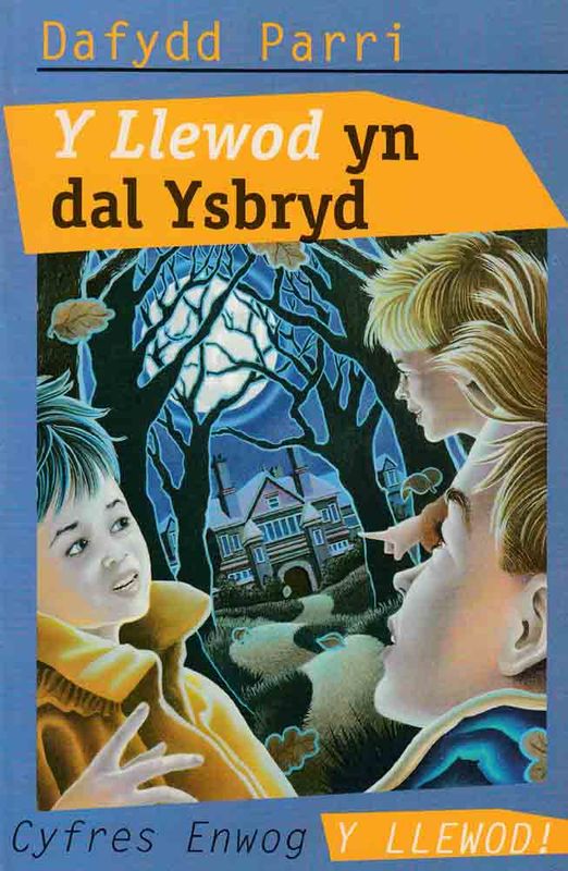 A picture of 'Y Llewod yn Dal Ysbryd' 
                              by Dafydd Parri
